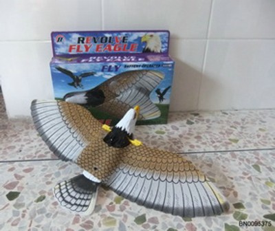 FLY EAGLE,