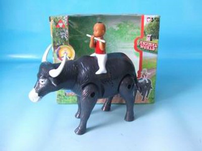 B/O COW,