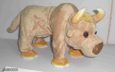 B/O COW,