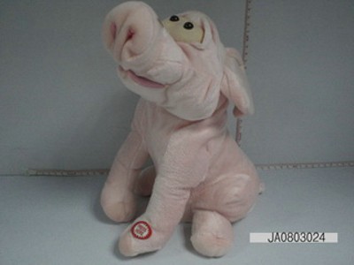B/O PIG,