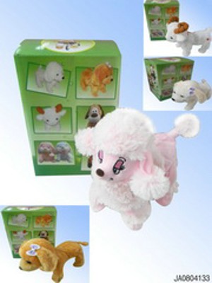 B/O ANIMAL,