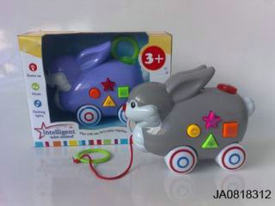 B/O ANIMAL W/MUSIC,