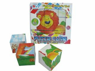 INTELLECT PUZZLE,