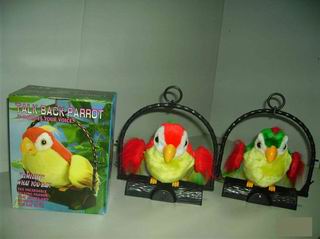 TALK BACK PARROT,