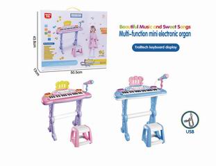 ELECTRONIC ORGAN,