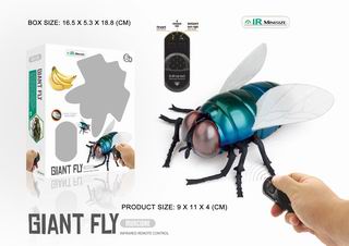R/C GIANT FLY,
