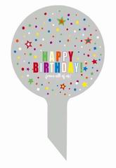 20 INCH BALLOON,