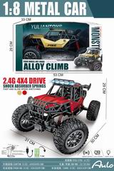 1:8 2.4G R/C CAR,