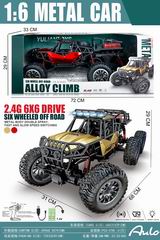 1:6 2.4G R/C CAR,